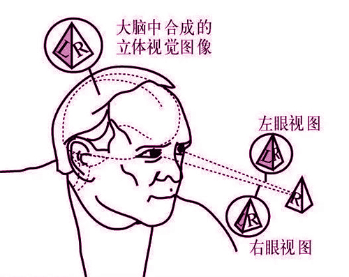 2121非凡·(中国游)体育官方网站